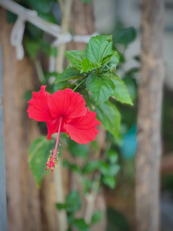 Ghe Home Phu Quoc Fishing Village Exterior foto